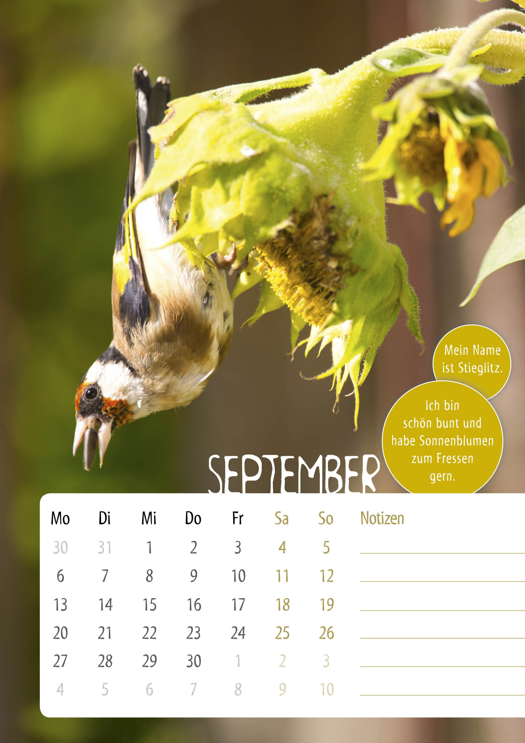Kalender-Sasse-UnsereVoegel202710
