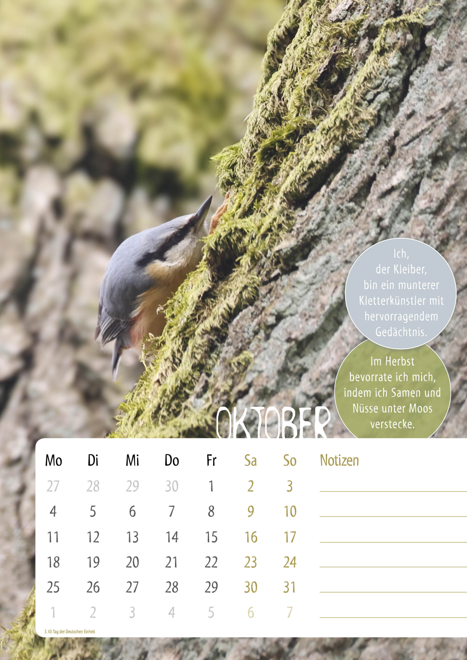 Kalender-Sasse-UnsereVoegel202711
