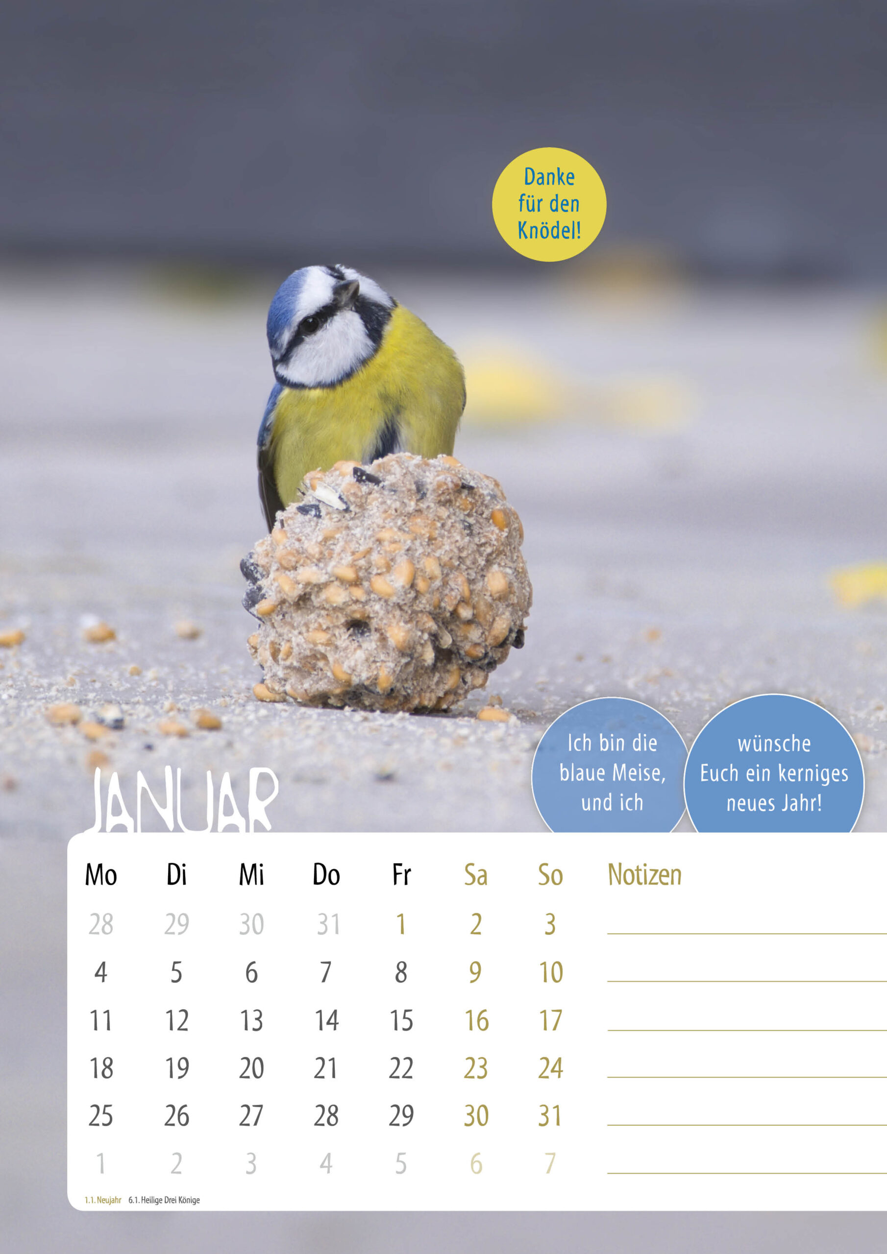 Kalender-Sasse-UnsereVoegel20272