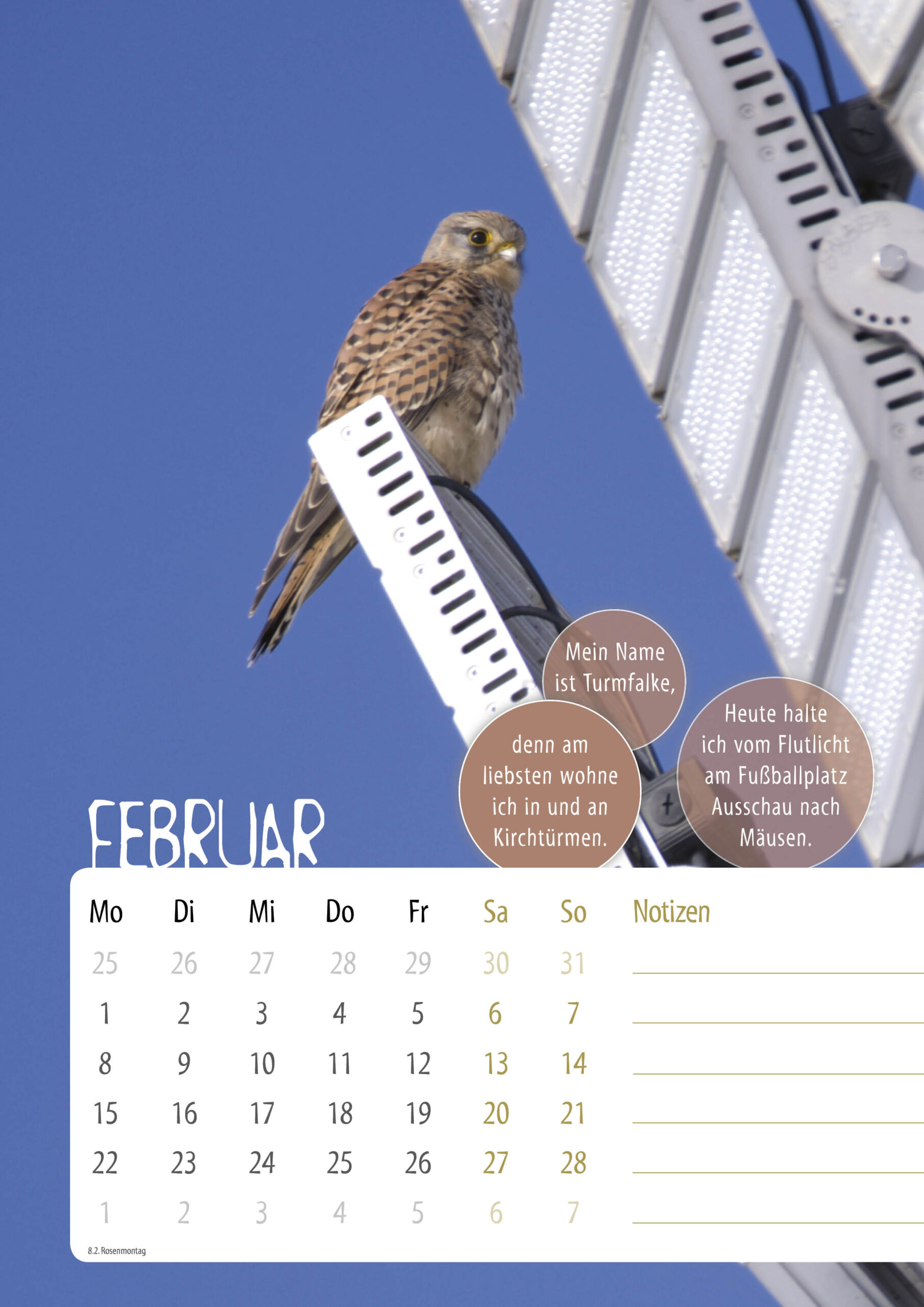 Kalender-Sasse-UnsereVoegel20273