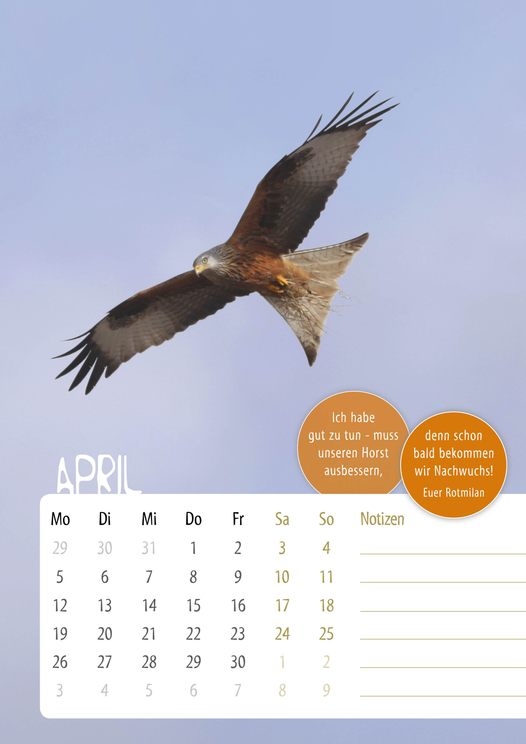 Kalender-Sasse-UnsereVoegel20275