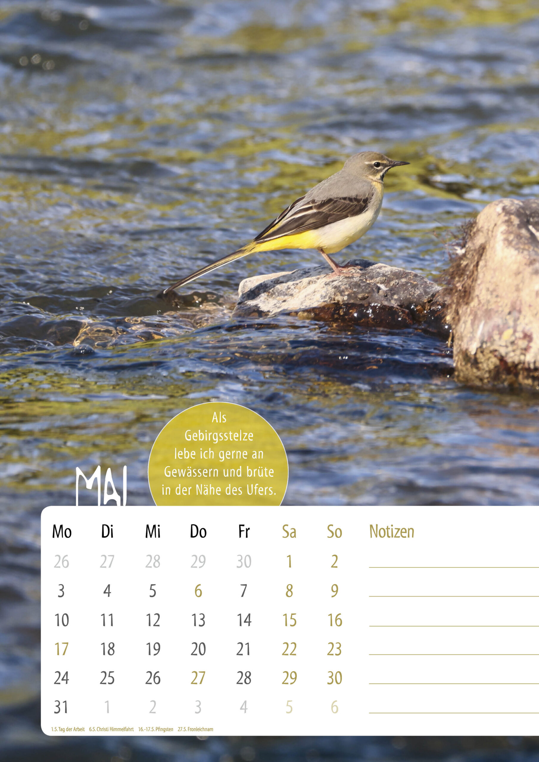 Kalender-Sasse-UnsereVoegel20276