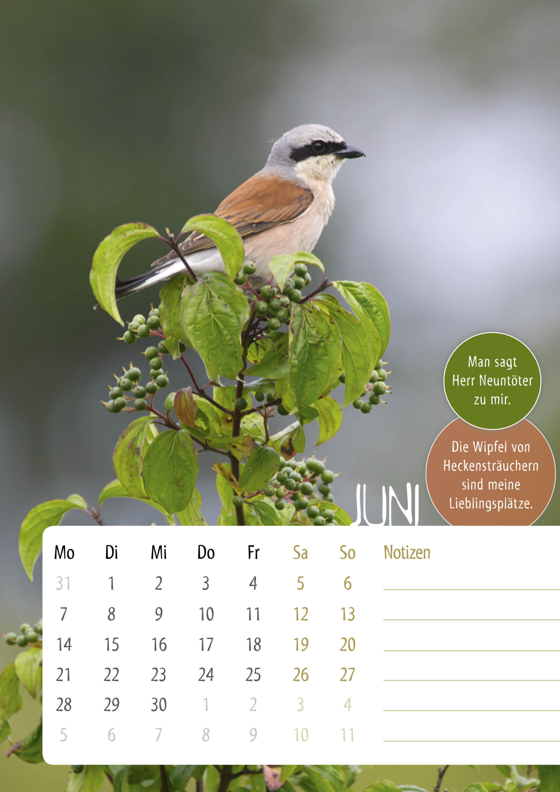 Kalender-Sasse-UnsereVoegel20277