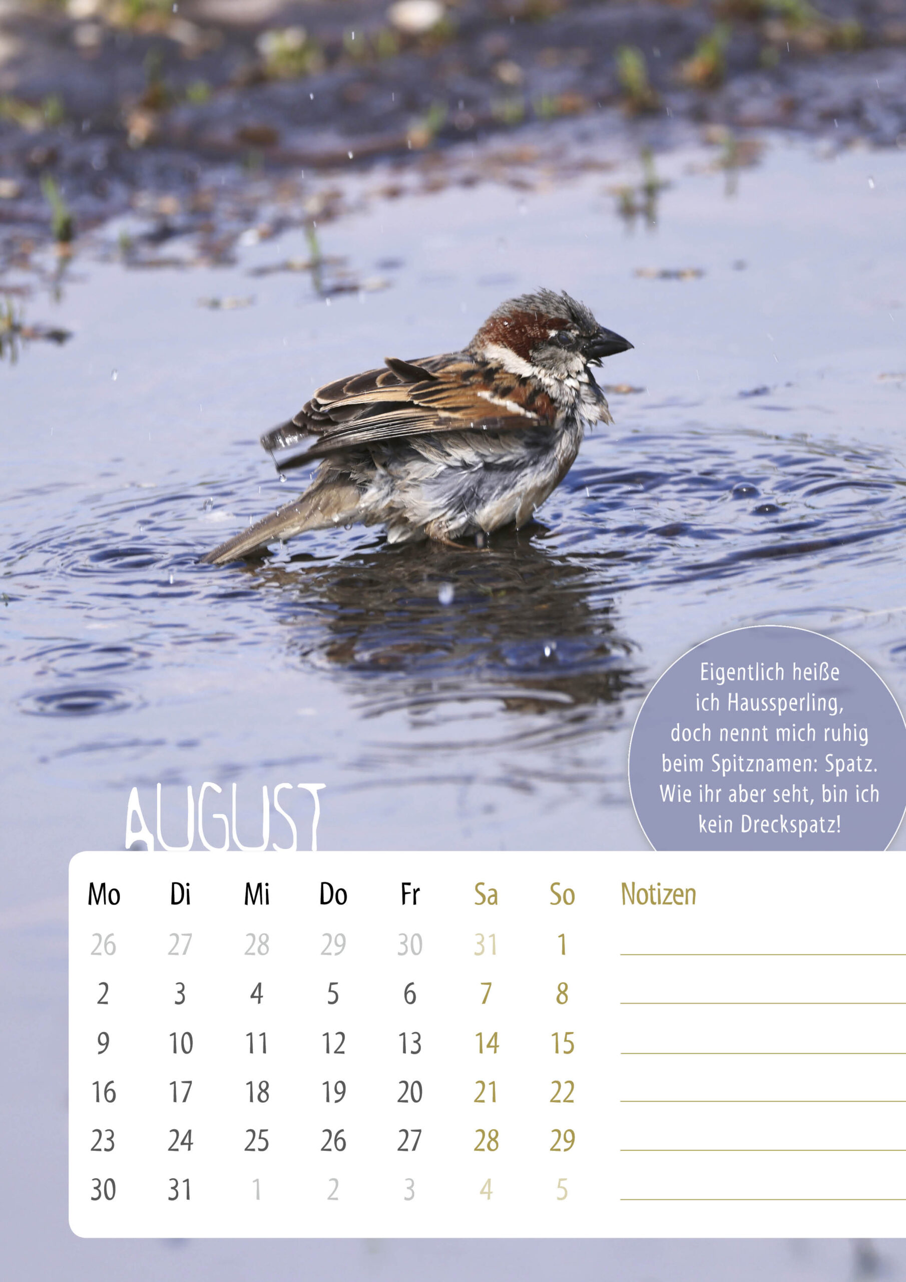 Kalender-Sasse-UnsereVoegel20279